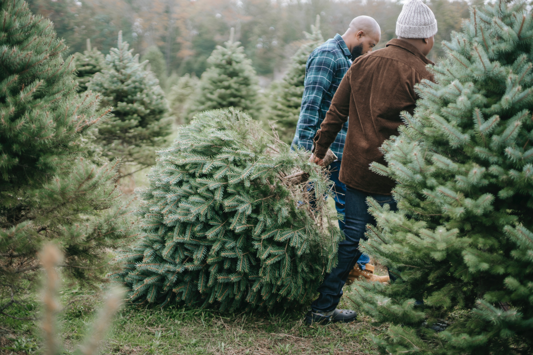 What will Christmas 2021 have in store for the UK industries that rely on it the most?